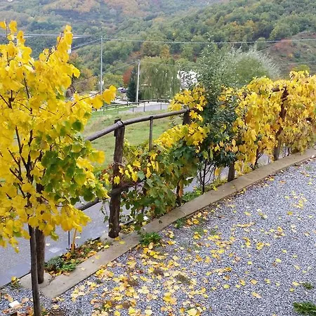 Agriturismo Pietro Falcone Celico Exterior photo
