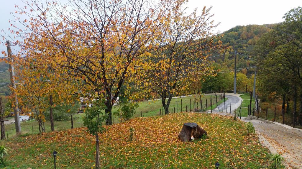 Pietro Falcone Country house