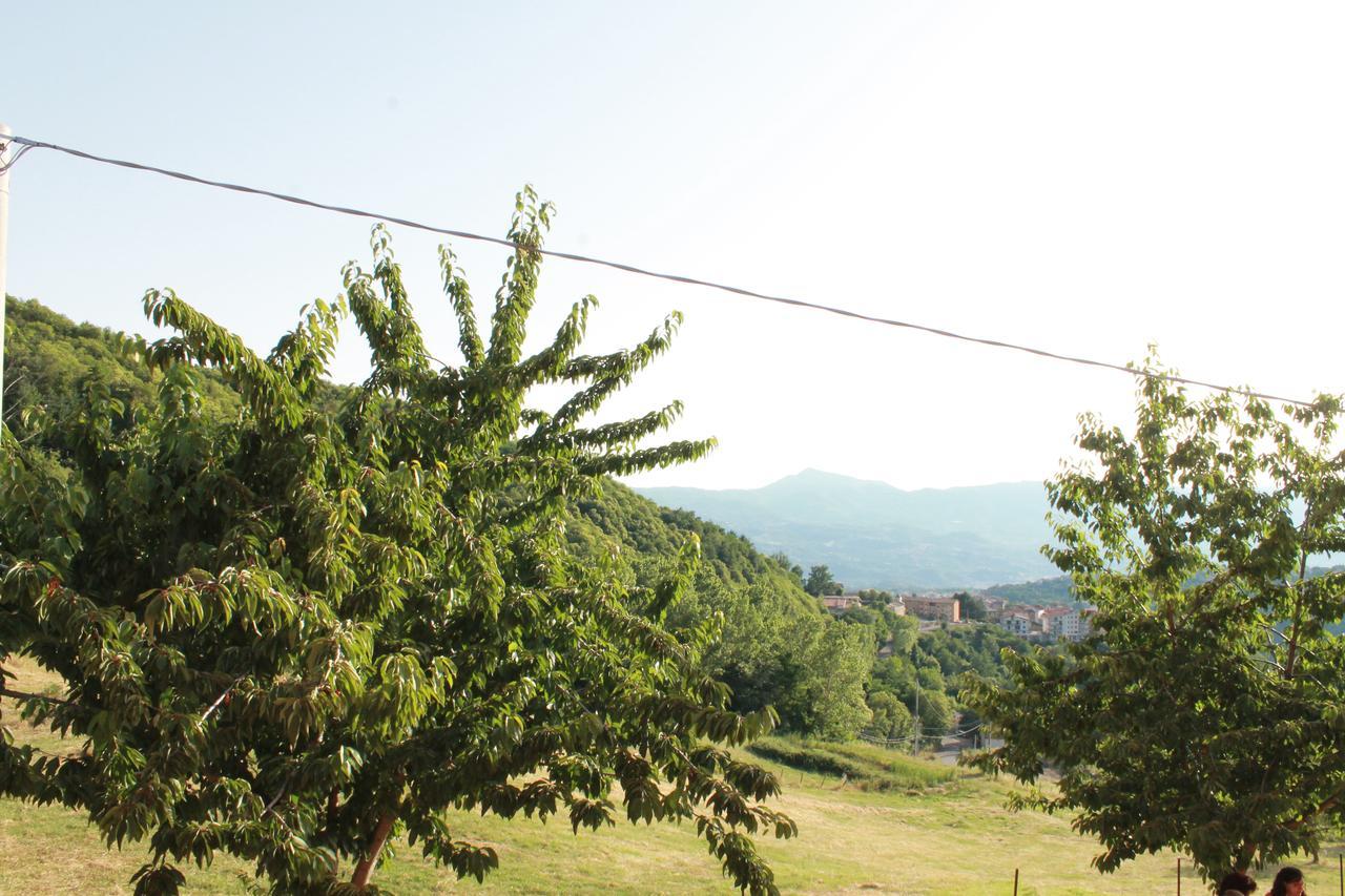 Country house Pietro Falcone *